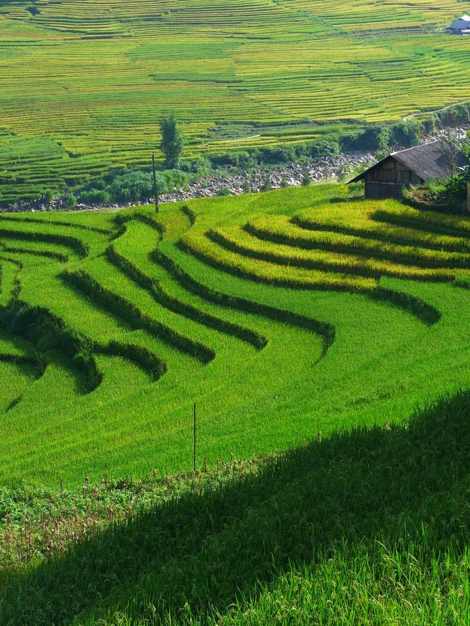 Hmong Sister House And Trekking Lägenhet Sapa Exteriör bild
